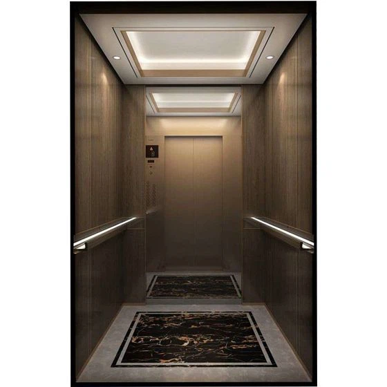 Luksuslik masinaruum-vähem reisijate lift